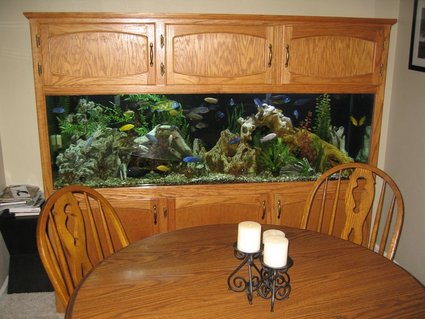 Rated #38: 125 Gallons Freshwater Fish Tank - Full Tank Shot Rated #38: 125 Gallons Freshwater Fish Tank - Full Tank Shot
