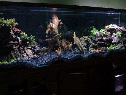 Rated #6: 210 Gallons Freshwater Fish Tank - 210g Oceanic Rated #6: 210 Gallons Freshwater Fish Tank - 210g Oceanic