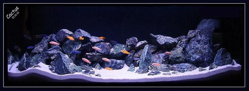 Rated #7: 120 Gallons Freshwater Fish Tank - Rocky Hills Rated #7: 120 Gallons Freshwater Fish Tank - Rocky Hills