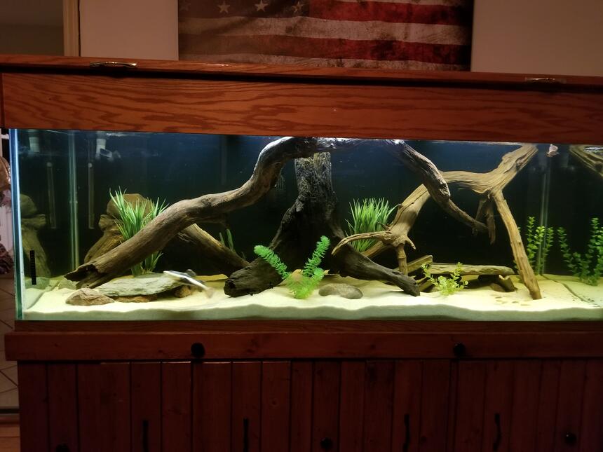 Rated #46: 250 Gallons Freshwater Fish Tank - River Monsters Rated #46: 250 Gallons Freshwater Fish Tank - River Monsters