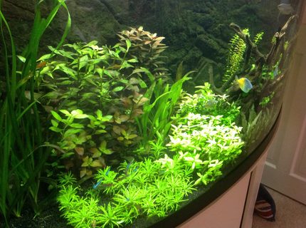 Rated #9: Fish Tank Picture - Another view Rated #9: Fish Tank Picture - Another view