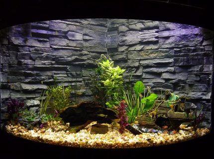 92 gallons planted tank (mostly live plants and fish) - Aqueon corner model 92 gallon, moderately planted. Custom and very original background. 92 gallons planted tank (mostly live plants and fish) - Aqueon corner model 92 gallon, moderately planted. Custom and very original background.