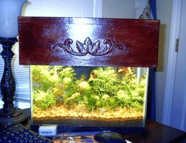 planted tank (mostly live plants and fish) - here ya go planted tank (mostly live plants and fish) - here ya go