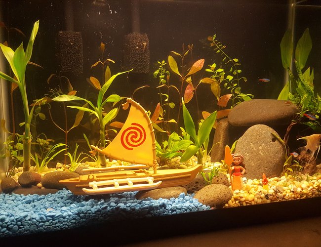 20 gallons planted tank (mostly live plants and fish) - Disney's Moana themed Aquarium. 20 gallons planted tank (mostly live plants and fish) - Disney's Moana themed Aquarium.