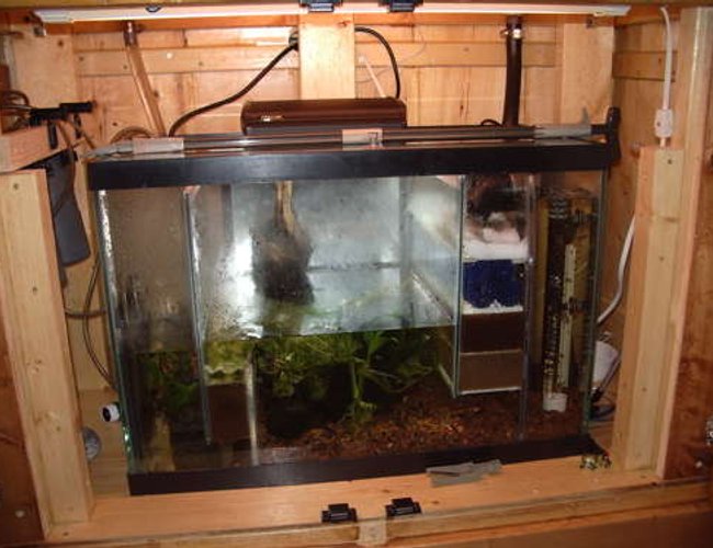 33 gallons planted tank (mostly live plants and fish) - Sump/refugium 20 gallon. Water enters on right, flows through filter floss, bioballs, two levels of sponges, into refugium, through sponge level and back to return pump. Refugium contains java moss to use up excess nutrients. 33 gallons planted tank (mostly live plants and fish) - Sump/refugium 20 gallon. Water enters on right, flows through filter floss, bioballs, two levels of sponges, into refugium, through sponge level and back to return pump. Refugium contains java moss to use up excess nutrients.