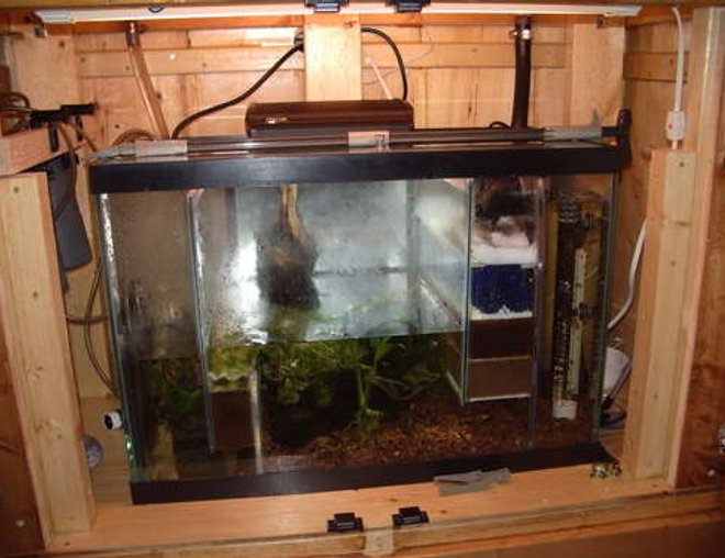 33 gallons planted tank (mostly live plants and fish) - Sump/refugium 20 gallon. Water enters on right, flows through filter floss, bioballs, two levels of sponges, into refugium, through sponge level and back to return pump. Refugium contains java moss to use up excess nutrients. 33 gallons planted tank (mostly live plants and fish) - Sump/refugium 20 gallon. Water enters on right, flows through filter floss, bioballs, two levels of sponges, into refugium, through sponge level and back to return pump. Refugium contains java moss to use up excess nutrients.