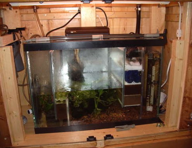 33 gallons planted tank (mostly live plants and fish) - Sump/refugium 20 gallon. Water enters on right, flows through filter floss, bioballs, two levels of sponges, into refugium, through sponge level and back to return pump. Refugium contains java moss to use up excess nutrients.