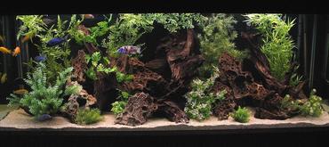 How to Select the Best Location for Your Tank How to Select the Best Location for Your Tank