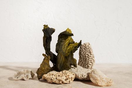 Aquarium Hardscape Guide: Dragon Stone, Seiryu, Spider Wood & More.