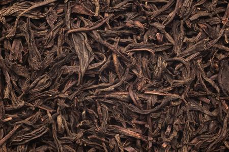 Blackwater Aquariums: How Tannins Improve Fish Health and Reduce Stress