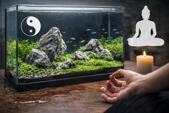 The Zen of Aquascaping: Using Iwagumi Principles for Mindfulness and Stress Relief