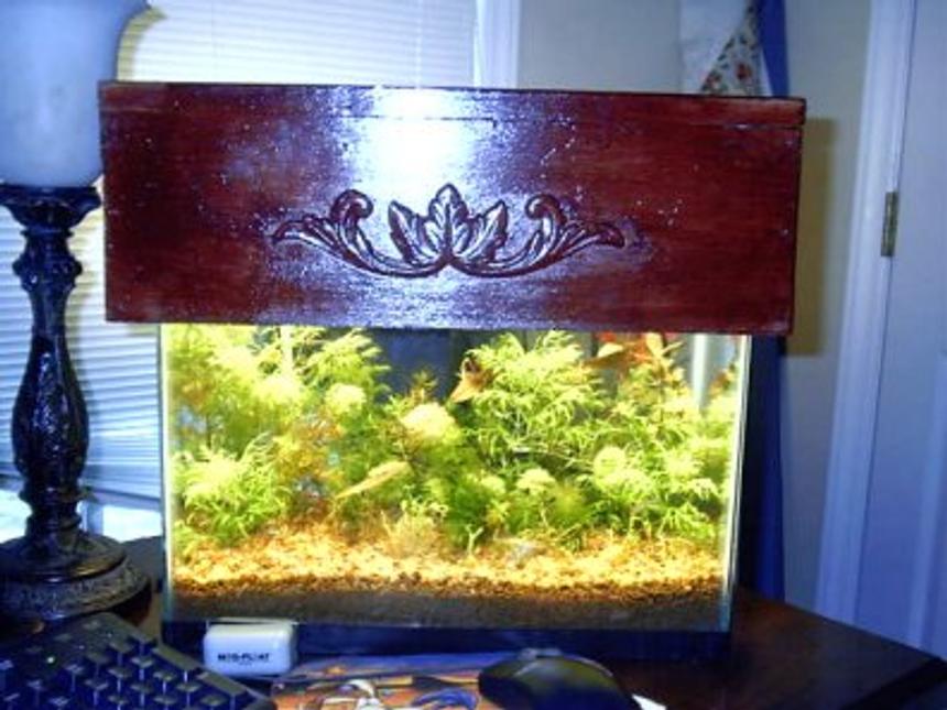 Rated #1908: Planted Tank - here ya go