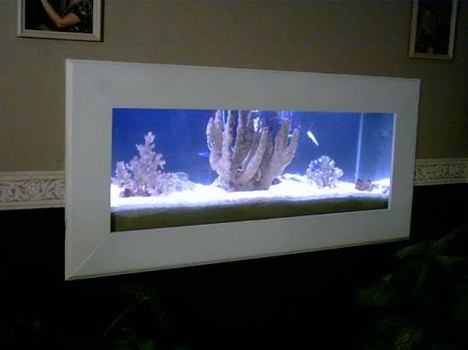 saltwater fish tank (mostly fish, little/no live coral)