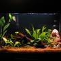 freshwater fish tank (mostly fish and non-living decorations) - 29 gal Emperor 330 Marineland powerhead w/ 3 Undergravel jets Visi-thermal 100 watt heater Lightly planted (more comming shortly) 1 betta 1 cory 7 glo lite tetras