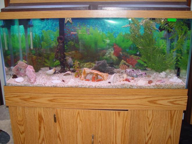 75 gallons saltwater fish tank (mostly fish, little/no live coral)