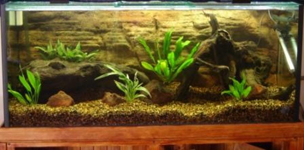 290 gallons freshwater fish tank (mostly fish and non-living decorations) - Home made stand, 4 foot by 18"w by 20"h tank.Aqua one 1200 canister filter, 300 watt heater.