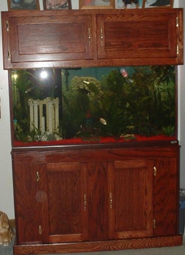 90 gallons planted tank (mostly live plants and fish) - 90 Gallon Oceanic Tank