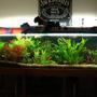 225 gallons planted tank (mostly live plants and fish) - This is the 8 footer but after it was redone about 4 months ago, along with the help of c02. We are rather proud.