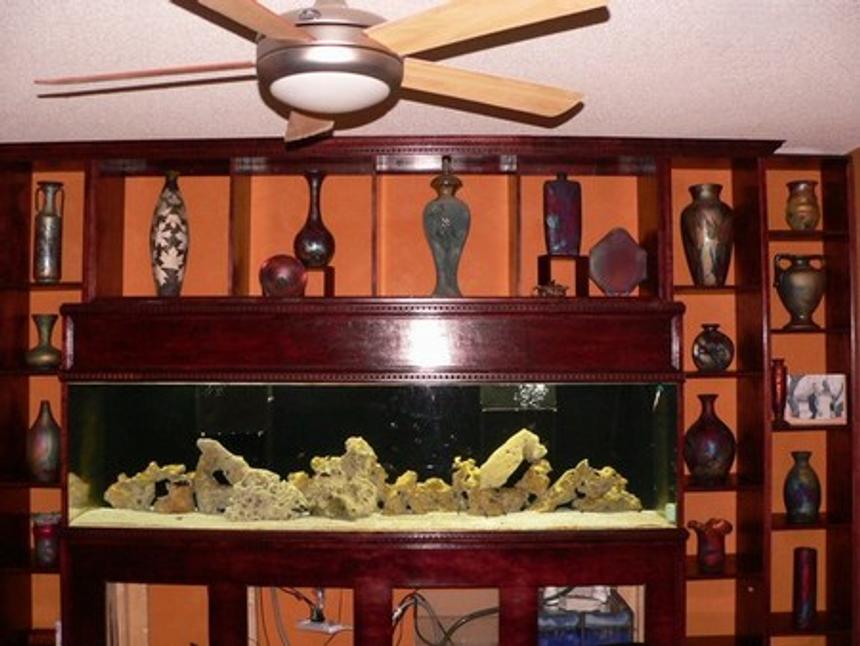 Rated #1892: 240 Gallons Freshwater Fish Tank - 240 gallon tropheus