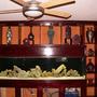 240 gallons freshwater fish tank (mostly fish and non-living decorations) - 240 gallon tropheus