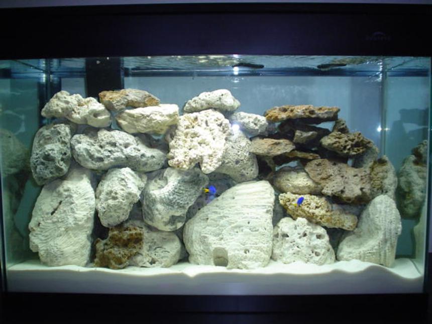 Rated #379: 30 Gallons Saltwater Fish Tank - updated