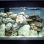 30 gallons saltwater fish tank (mostly fish, little/no live coral) - updated