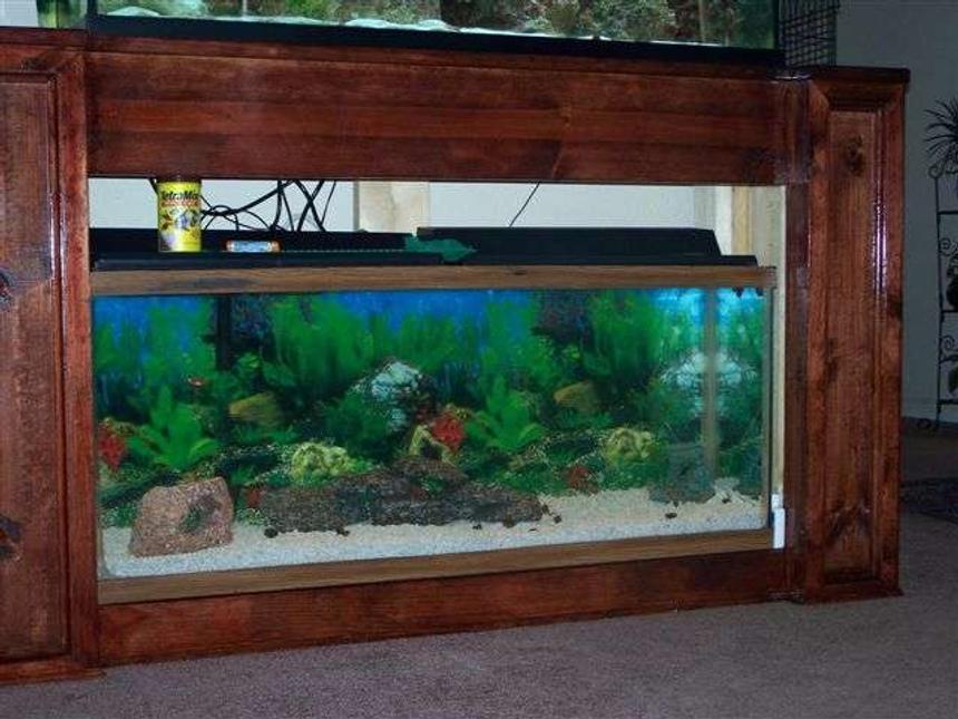 Rated #2095: 55 Gallons Planted Tank - the plants are just buds at the time but I will update the pics as we add to it