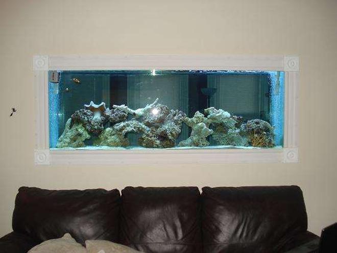 150 gallons saltwater fish tank (mostly fish, little/no live coral) - Ever since I have showed people the saltwater project I have built 4