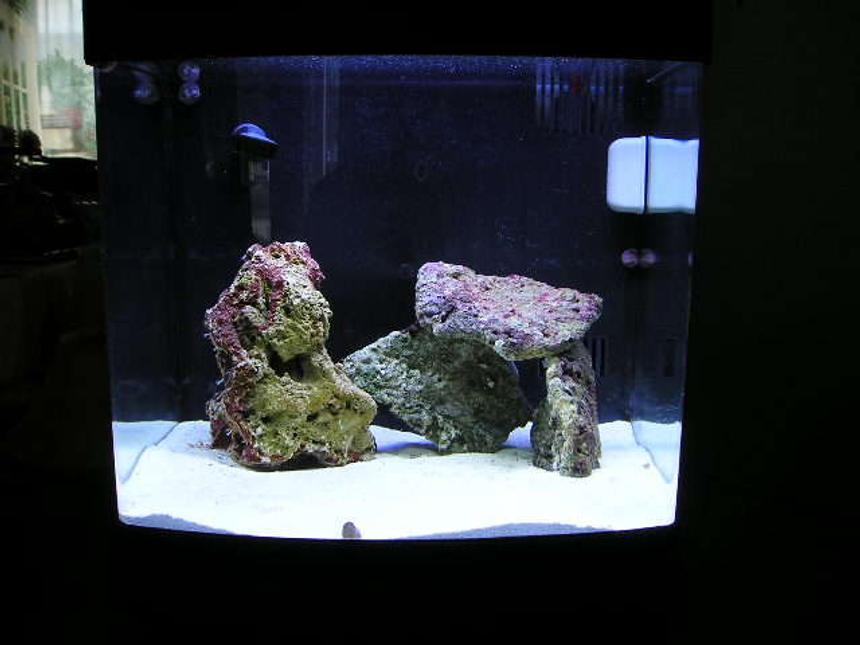 Rated #86: 14 Gallons Saltwater Fish Tank - FTS