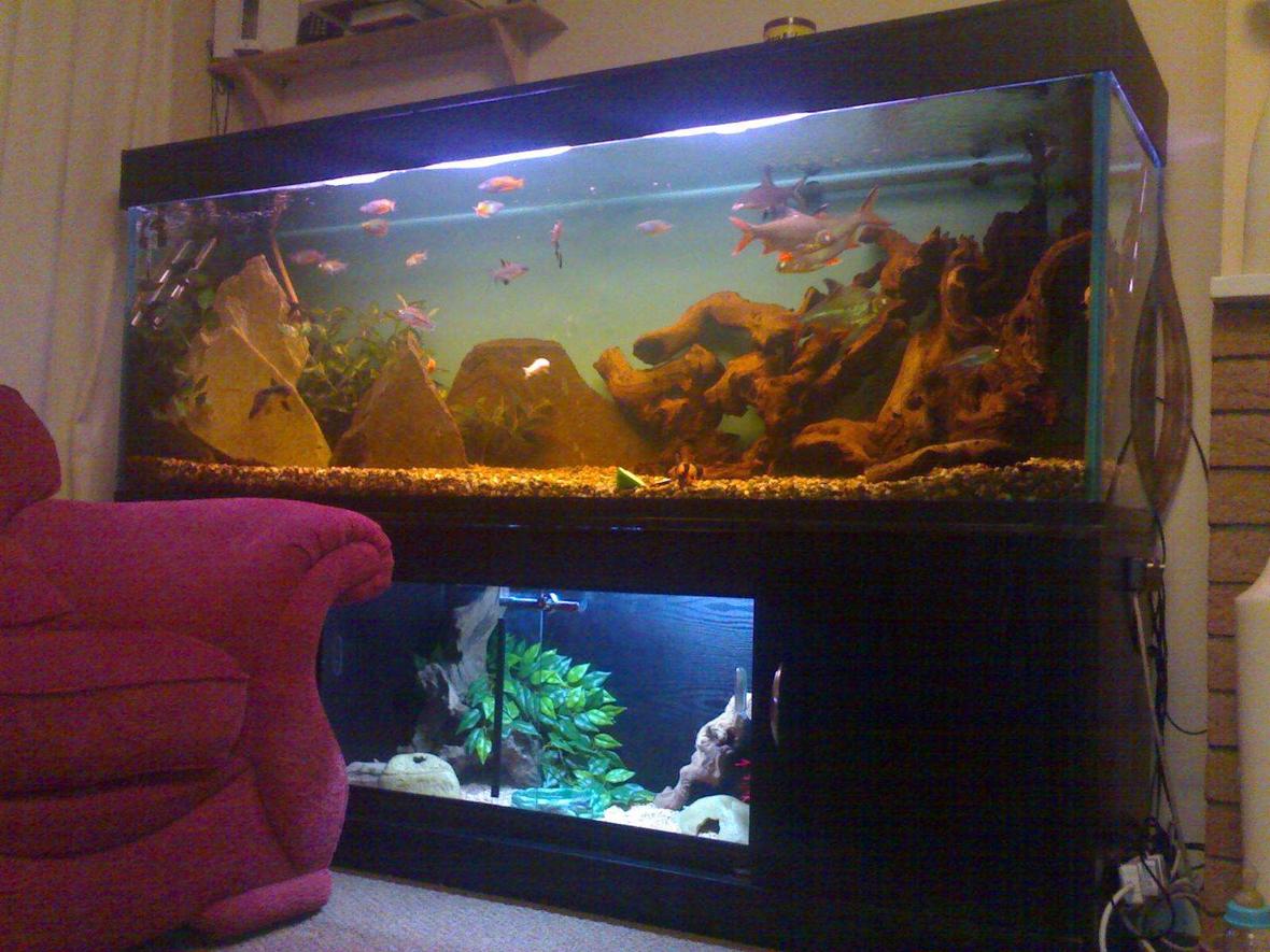 125 gallons freshwater fish tank (mostly fish and non-living decorations) - 6ft tank with eheim external filter, aqua one cf1000 external filter, fluval4 internal,2 rena 400's air pumps, 2 arcadia light units, 2 heaters, loads of bog wood, 1 lrg rock weighing 40kg, 1 smaller! lrg piece of slate. the viv was added for my girlfriends snake it only cost about £18 and most of that was for the glass! hope you like it sorry its not the best of photos.