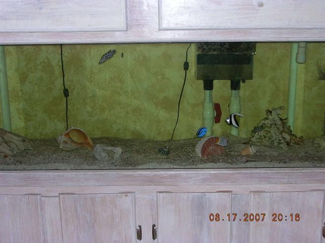 100 gallons saltwater fish tank (mostly fish, little/no live coral) - 100 GAL SALTWATER TANK, W WET/DRY FILTRATION AND CRUSHED CORAL ROCK ITS 3 MONTHS OLD