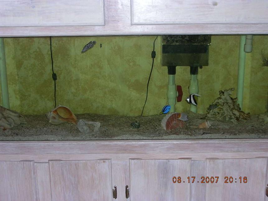 Rated #104: 100 Gallons Saltwater Fish Tank - 100 GAL SALTWATER TANK, W WET/DRY FILTRATION AND CRUSHED CORAL ROCK ITS 3 MONTHS OLD