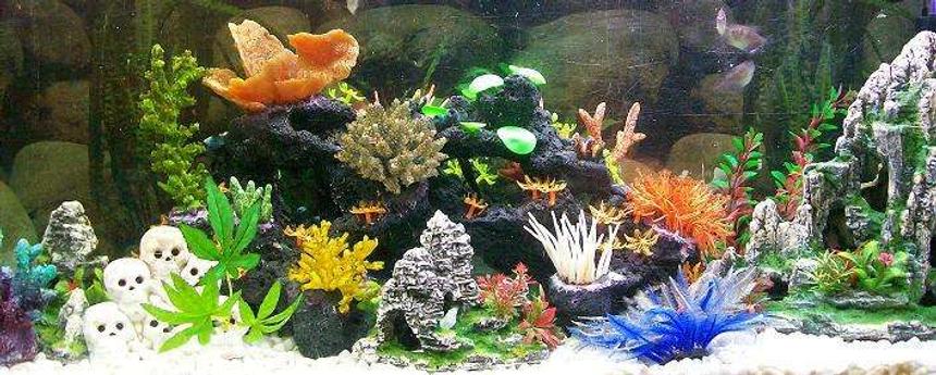 Rated #199: Freshwater Fish Tank - ..Fake Neon Reef.. Tropical Freshwater..
