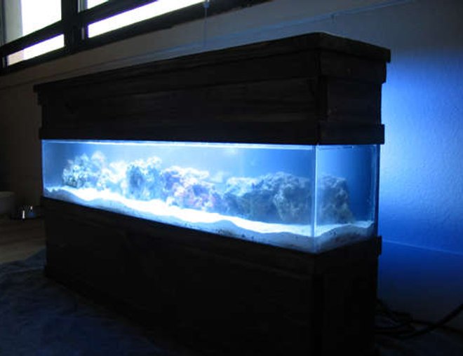 saltwater fish tank (mostly fish, little/no live coral) - my little 5 gallon long project... Built from scratch, acrylic tank 30" x 6" x 6" Just getting started, but will house corals (softies, lps) and 1 perculas and 1 yellow clown goby with a cleanup crew...