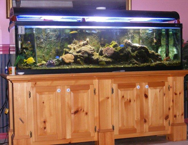 80 gallons saltwater fish tank (mostly fish, little/no live coral) - father in-law's 150 gal tank