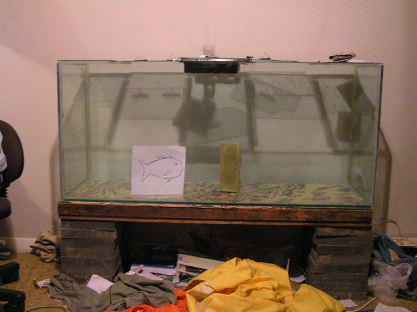 Rated #438: 79 Gallons Saltwater Fish Tank - Not too heavily stocked at the moment, low bioload, extremely high oxygen content.
Very easy to maintain - the lazy reef keepers dream. 
BB sand bed, and using the controversial no-skimmer technique. Seems to be working a treat.

- I'm a dork. Obviously.