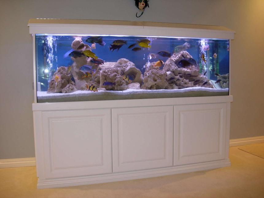Rated #2: 172 Gallons Freshwater Fish Tank - Cichlids Cove