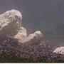 fish tank picture - With Five Rocks