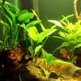fish tank picture - Image1.