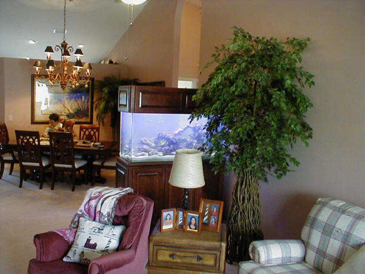 105 gallons reef tank (mostly live coral and fish) - NEW TANK??