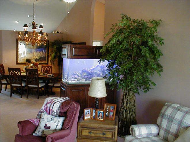 105 gallons reef tank (mostly live coral and fish) - NEW TANK??