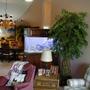 105 gallons reef tank (mostly live coral and fish) - NEW TANK??