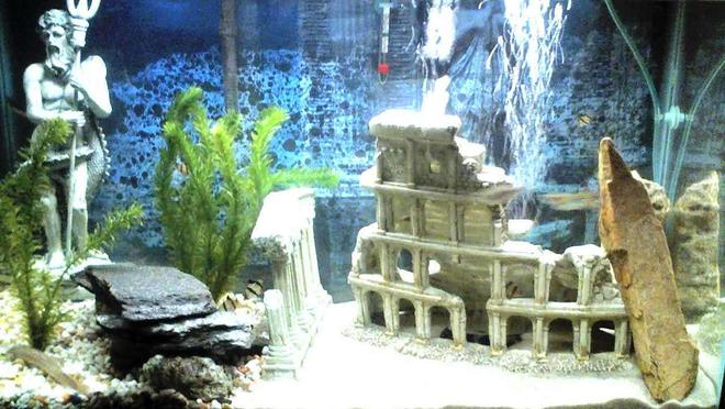 30 gallons freshwater fish tank (mostly fish and non-living decorations) - The Greek Tank