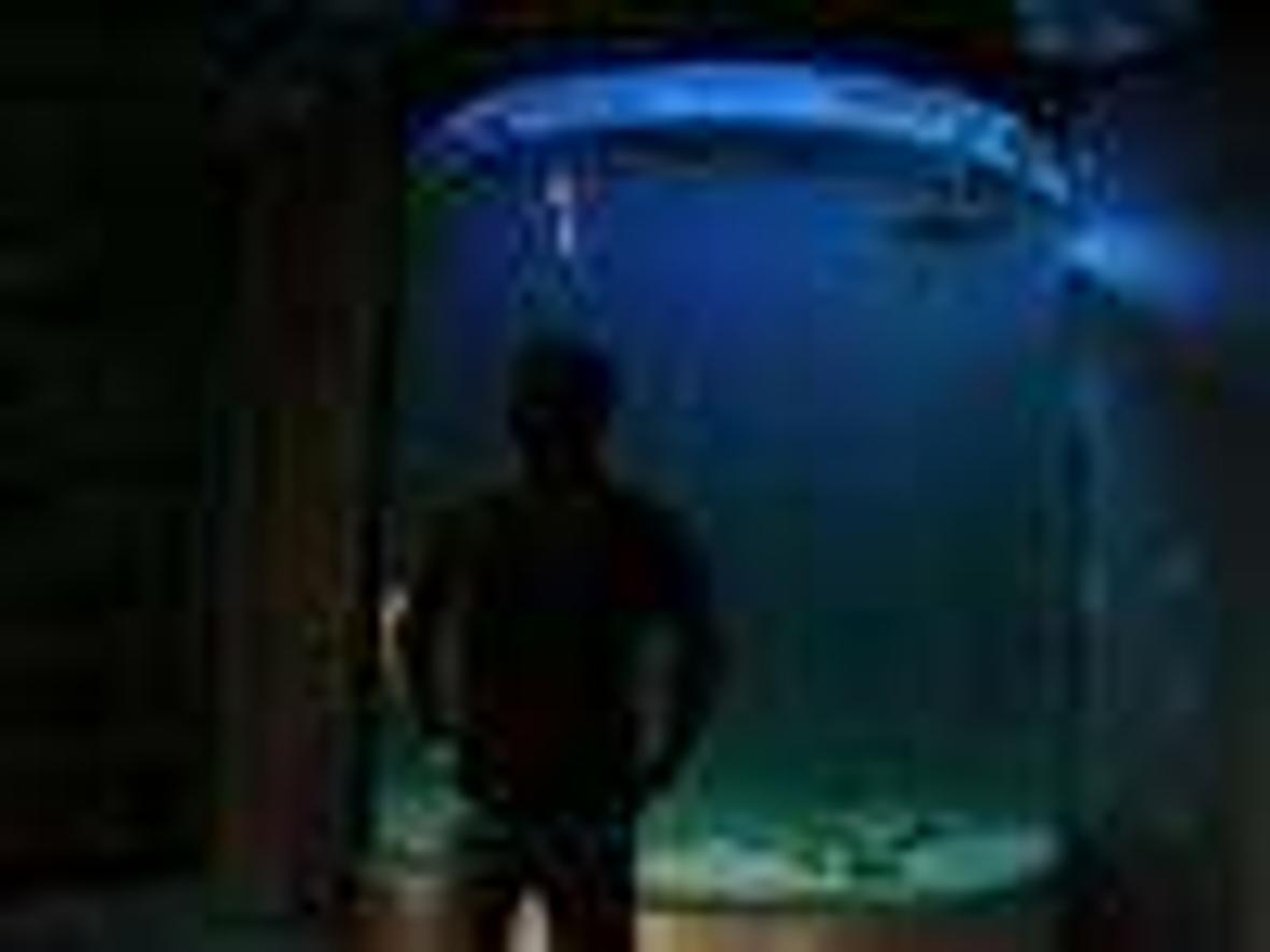 fish tank picture - 3500 gallon cylinder shark tank.. Right now i am housing 2 black tip reef sharks.