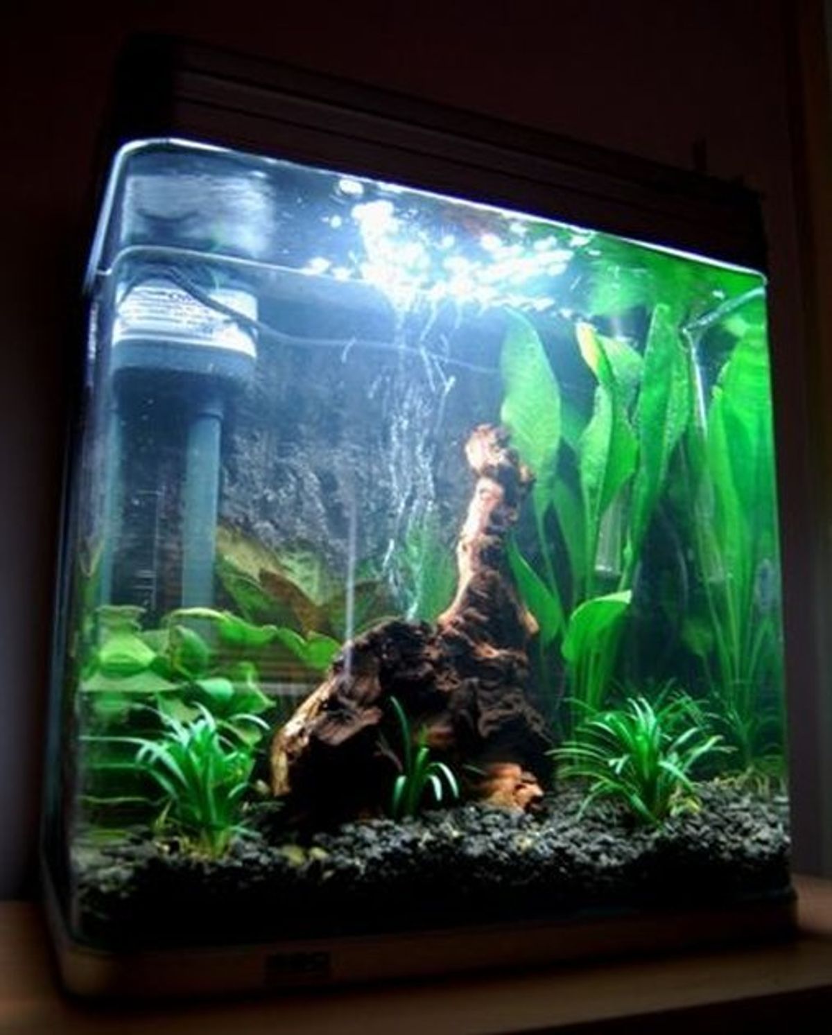 glass aquarium manufacturers