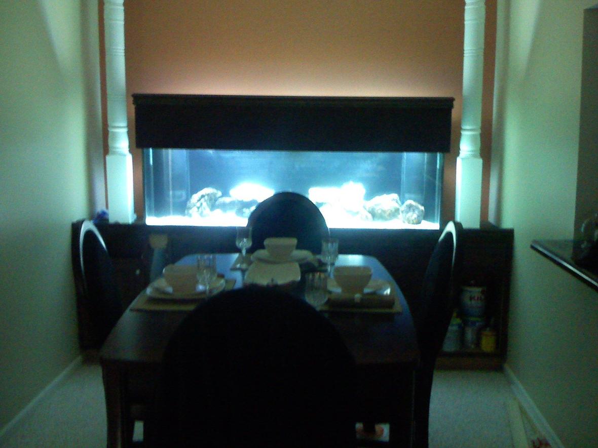 fish tank picture - 125 Gallon fish tank with custom stand 2