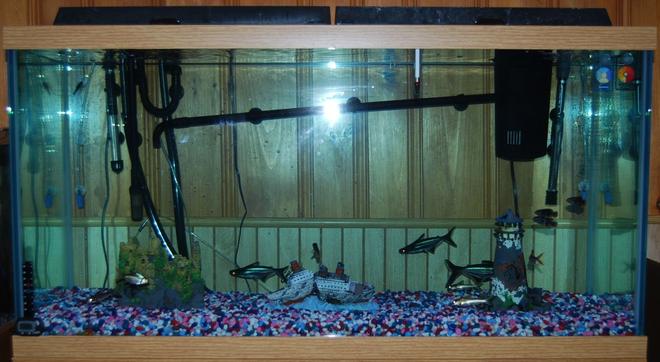90 gallons freshwater fish tank (mostly fish and non-living decorations) - 90 gallon freshwater tank