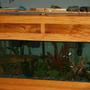 75 gallons freshwater fish tank (mostly fish and non-living decorations) - 75 gal freshwater