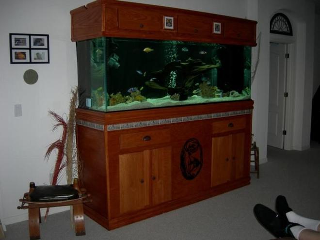 265 gallons freshwater fish tank (mostly fish and non-living decorations) - My 265 with hand made Hood and Stand.
72" solar hood power compact 6 X 65W lights with wireless programable remote, Seio 820 twin power heads, Twin Magdrive 1200 pumps, 300 sump, plus  UV Sterilizer