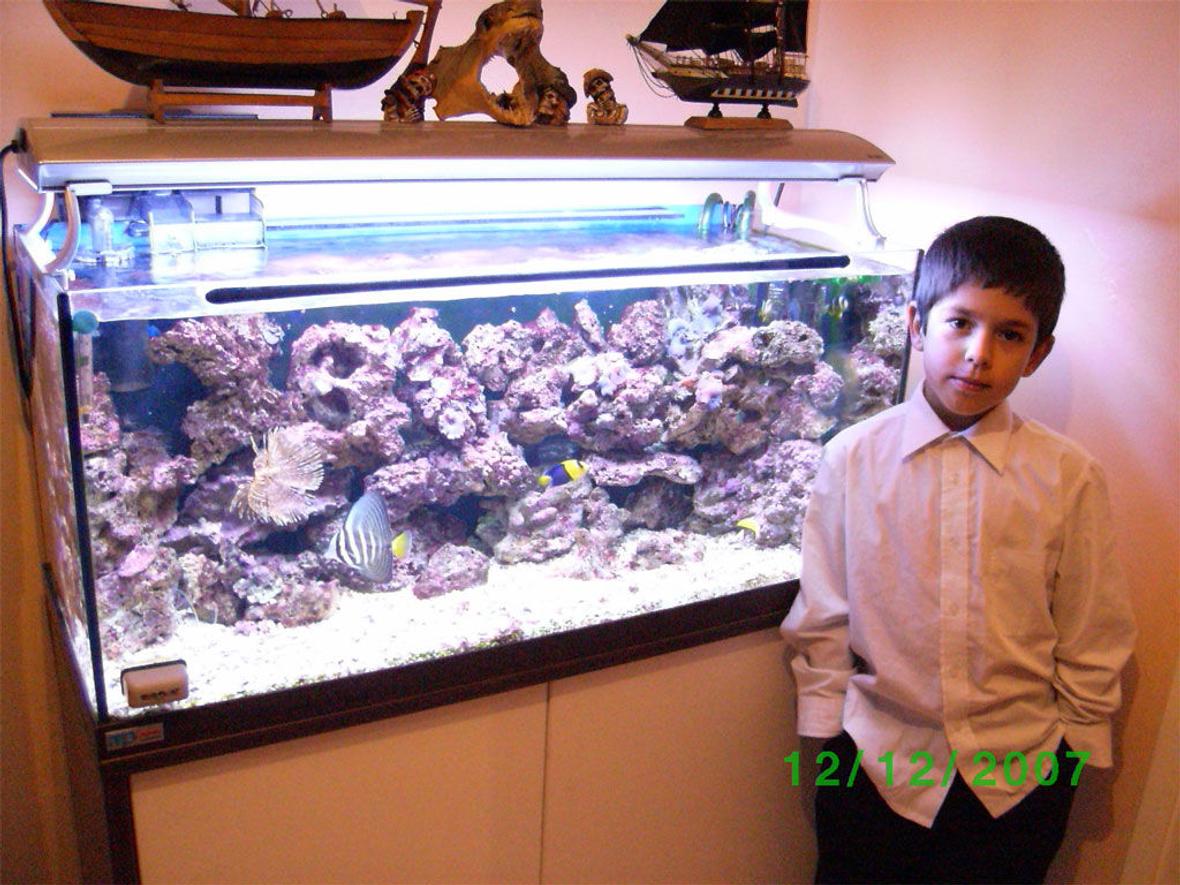 50 gallons reef tank (mostly live coral and fish) - My son Michael and my Aquarium.